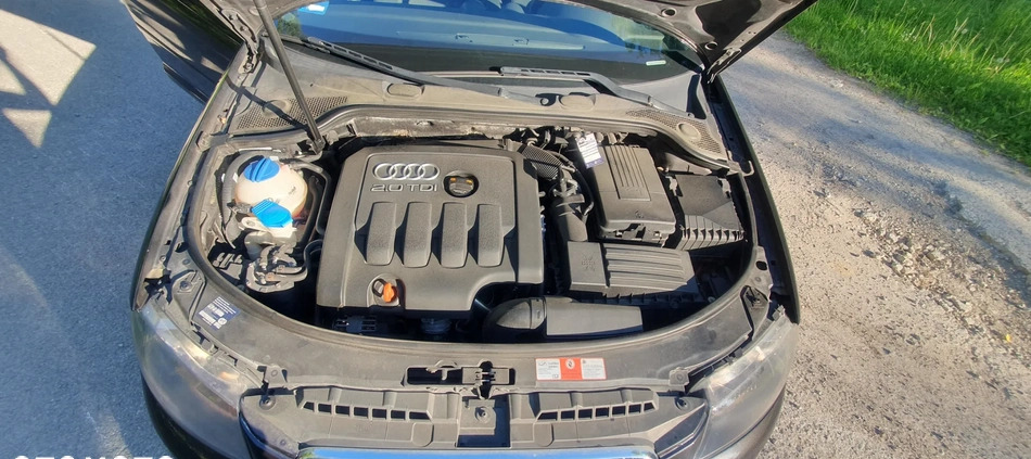 Audi A3 cena 21500 przebieg: 235000, rok produkcji 2006 z Połaniec małe 121